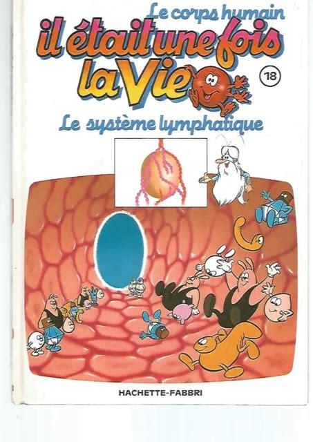 Le Corps Humain Il Etait Une Fois La Vie N Systeme Lymphatique