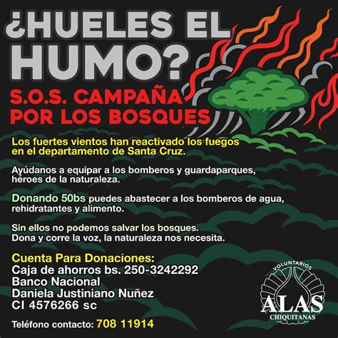 Incendios En Bolivia No Dan Tregua Y Organizaciones Claman Ayuda