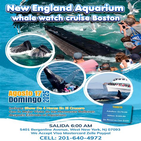 New England Aquarium whale watch cruise Boston Tickets - BoletosExpress