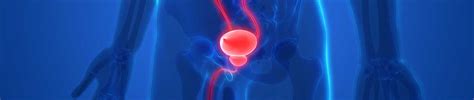 Neurogenic Bladder: Signs, Causes, Treatment, Lifestyle Tips