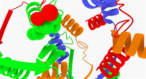 3d animation enzymes model