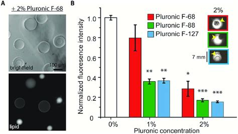 Pluronic Surfactant Also Caused The Formation Of Aggregate And Reduced