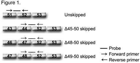 Design of TaqMan assays. TaqMan assays were designed to quantify... | Download Scientific Diagram