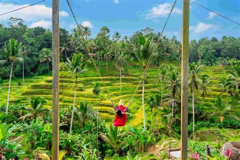 Tegallalang Rice Terrace 2025: The Guide To Ubud's Beautiful Land