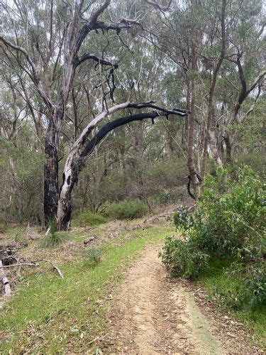 Best Hikes And Trails In Neerabup National Park Alltrails