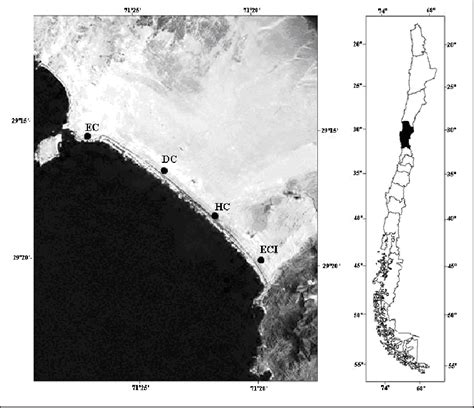 Ubicaci N Geogr Fica De Los Cuatro H Bitats De Estudio Estepa Costera