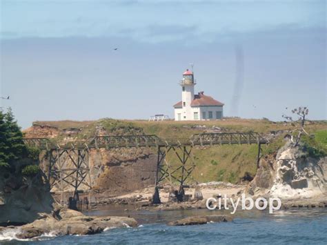 5 BEST Things about Cape Arago Lighthouse