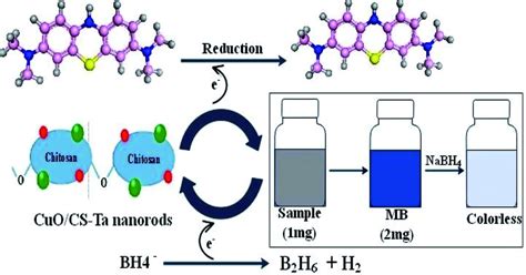 Schematic diagram of catalysis mechanism | Download Scientific Diagram