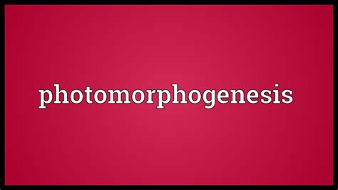 Photomorphogenesis Meaning - YouTube