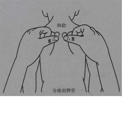 小儿止咳化痰推拿图小儿感冒流鼻涕推拿小儿止咳化痰推拿第5页大山谷图库