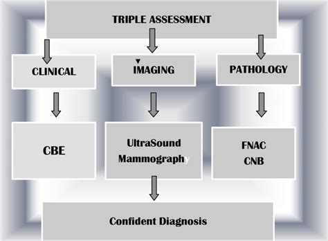 Triple Assessment Diagnostic Test Breast Cancer Screening In High Risk