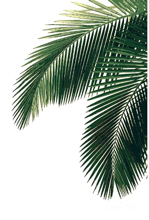 Tropical Palm Leaves Painting By Harrison Brown Fine Art America