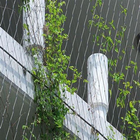 304 Stainless Steel Cable Mesh For Plants Climbing Support Green Wall