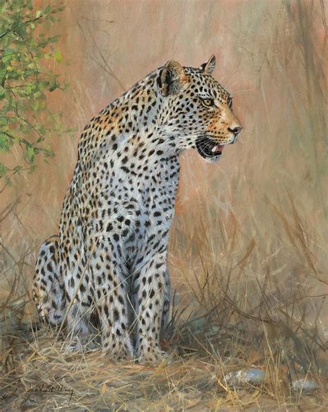 Leopard Sitting Painting By David Stribbling Wildlife Paintings