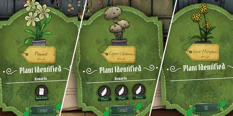 All Plant Locations In Strange Horticulture