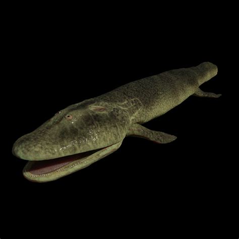 Artstation Tiktaalik Roseae Maya Rig Resources