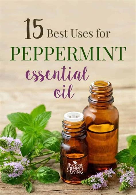 50 Amazing Uses for Peppermint Oil