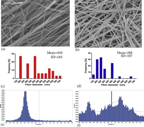 Sem Micrographs Of A Aligned And B Random Oriented Chitosan