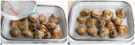 How To Clean Clams The Best Way To Purge Sand Just One Cookbook