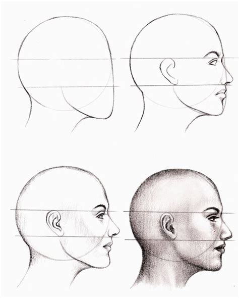 25 Anatomy Study Drawings by Veri Apriyatno - Tutorial for Beginners