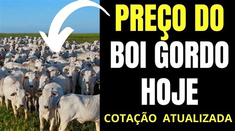 Pre O Do Boi Gordo Hoje Cota O Do Boi Gordo Hoje Atualizada Youtube