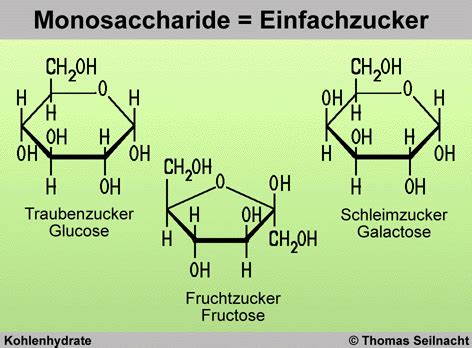 Kohlenhydrate Seilnacht