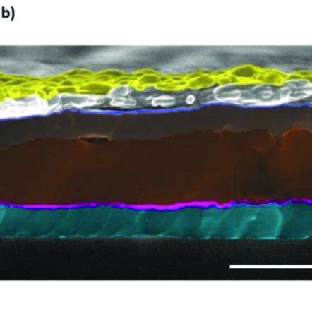 A Device Architecture And B False Color SEM Image Of The Inverted