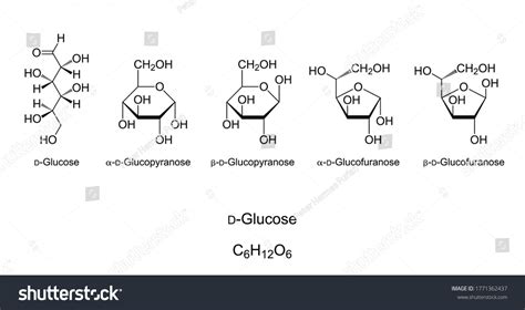 Glucose Monosaccharide Chemical Structure Royalty Free Stock Vector 1771362437