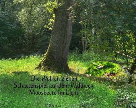 Gedicht Am Morgen Von Sieghild Krieter Haiku Tanka Co Bei E