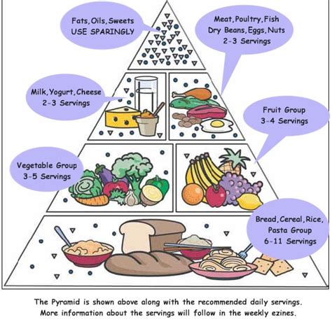 Food Pyramid