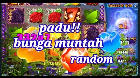 Padu FAIRY GARDEN Free Spin Bertubi Tubi Mawar Kuning Muntah