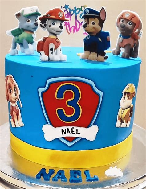 Paw Patrol Birthday Cake Ideas Images Pictures