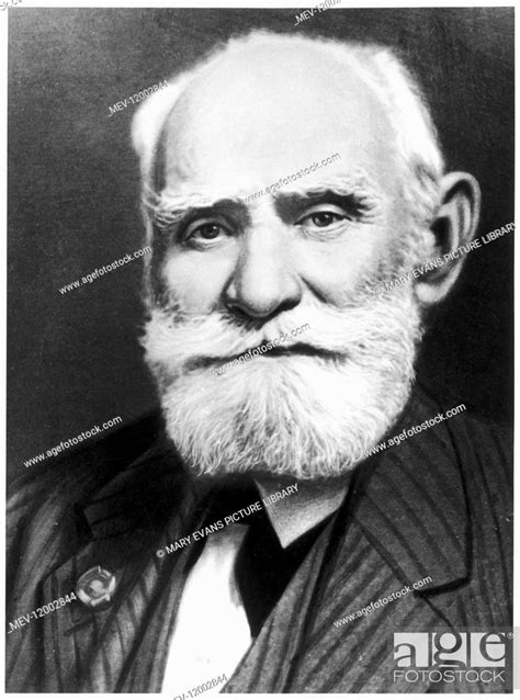 Ivan Petrovich Pavlov Russian Physiologist Stock Photo Picture And