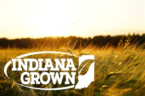 Thankful For Our Newest Indiana Grown Members Indiana Grown