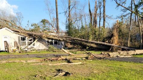 Deadly tornado topples trees, damages homes in Delaware | Fox Weather