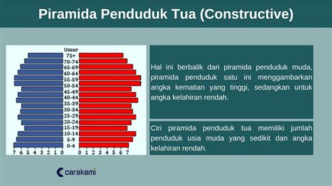 Piramida Penduduk Indonesia Pengertian Fungsi Jenis Gambar