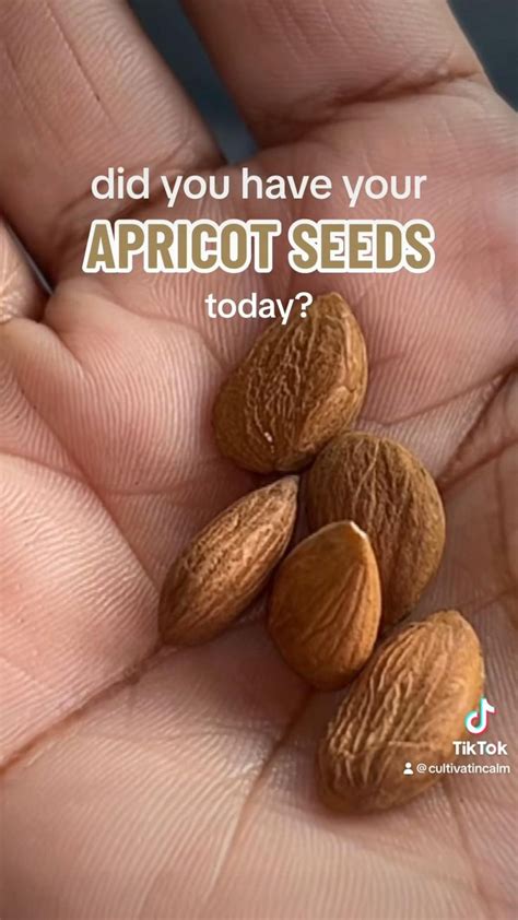 Mighty Apricot Usda Organic Bitter Apricot Kernels Lb Oz Natural