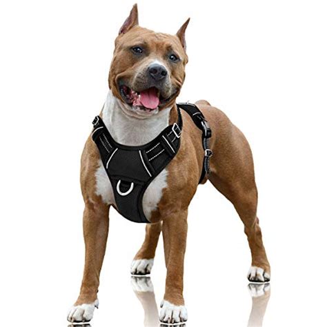 Easy Walk Harness Colors - Best Family Pets