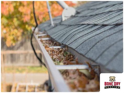 Why You Should Clean Your Gutters This Fall