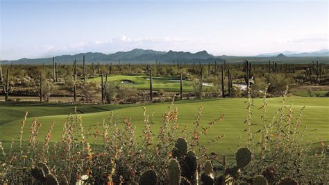 The Ritz-Carlton Residences at Dove Mountain | Tucson Golf Estates