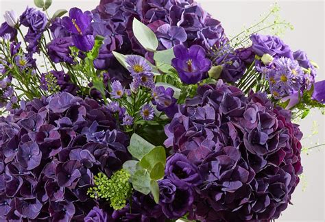 Arena Flowers - The UK's most ethical florist