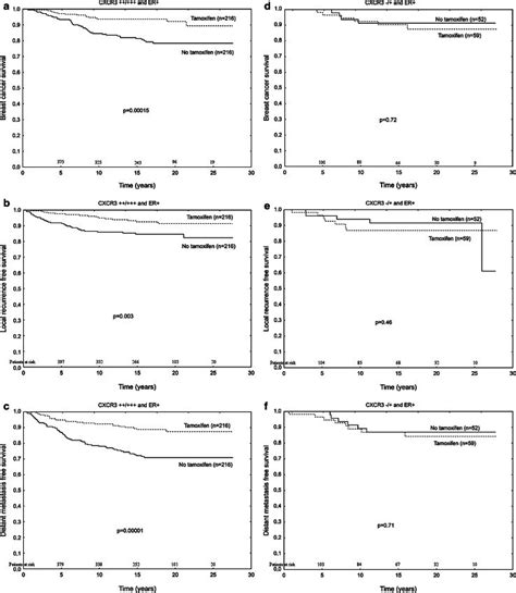 Survival Curves For Tamoxifen Treated Patients Grouped According To