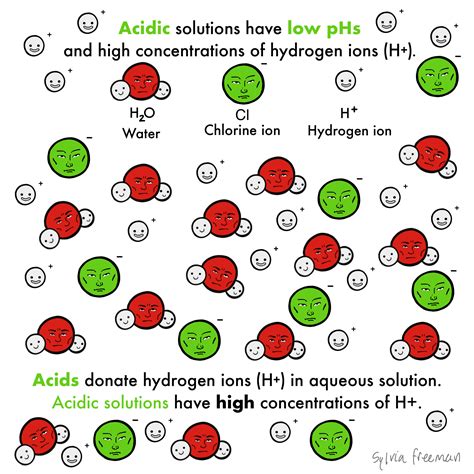 Acids — Definition & Overview - Expii