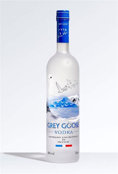 Grey Goose Vodka Largest Bottle Best Pictures And Decription