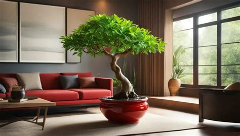 Discover Where To Place Money Tree For Good Feng Shui