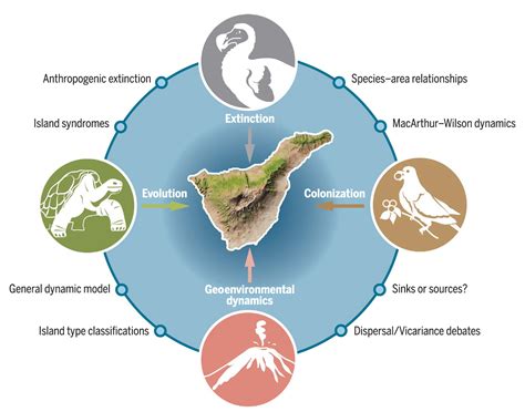 Island Biogeography: taking the long view of nature’s laboratories ...