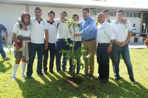 La Capital Campana De Reforestacion Logra Sembrar Mas De Mil Arboles