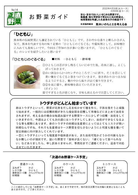 今週の野菜ケース 4月5・8日 熊本いのちと土を考える会