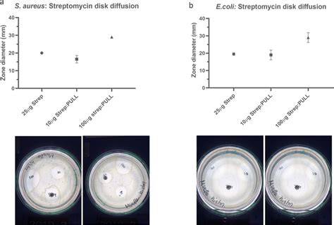 Disk Diffusion Assay A S Aureus Disk Diffusion Results Of Pullulan Download Scientific