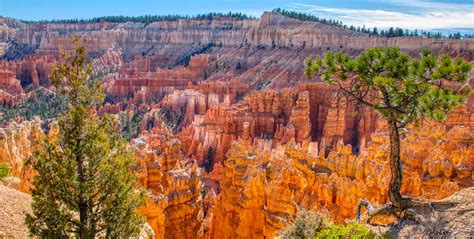 Tour Organizzati Stati Uniti Ovest E Parchi Nazionali Con Guida